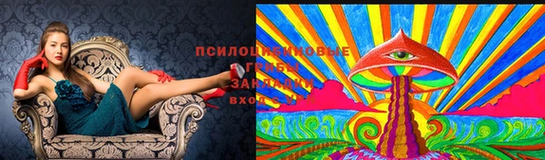метамфетамин Алексин