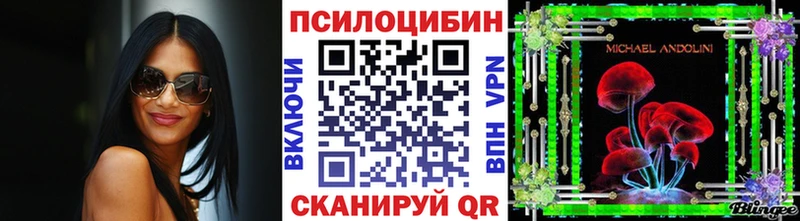 как найти Новосиль Галлюциногенные грибы Magic Shrooms