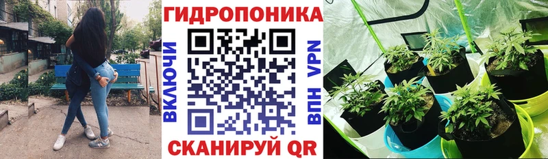Бошки марихуана Ganja Новосиль